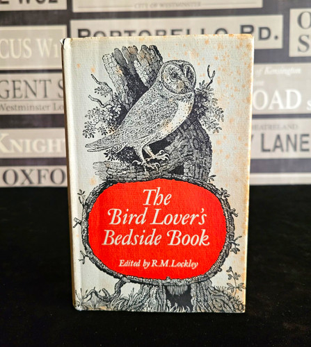 The bird lover bedside - bird,