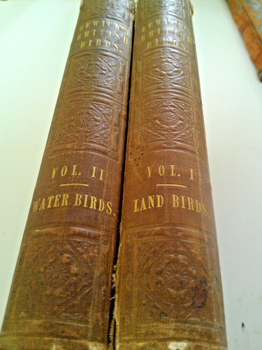 Bewick british birds - british,