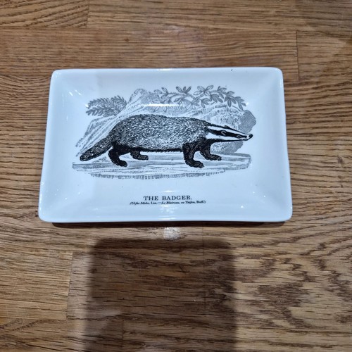 Thomas bewick the badger - thomas,