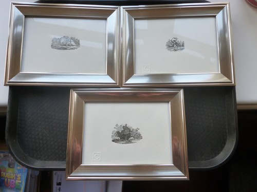 Antique thomas bewick - antique,