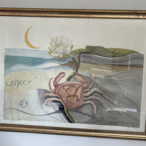 Pauline bewick cancer - bewick,