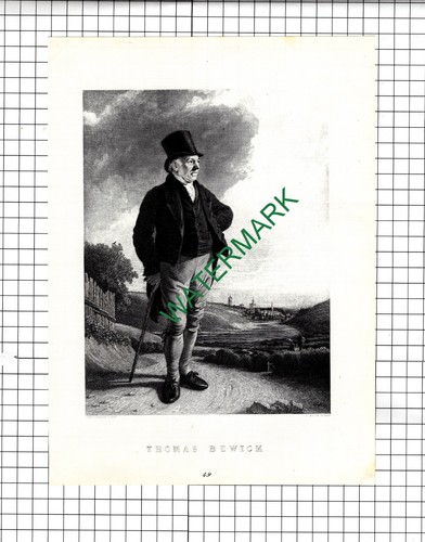Thomas bewick 1969 print - bewick,