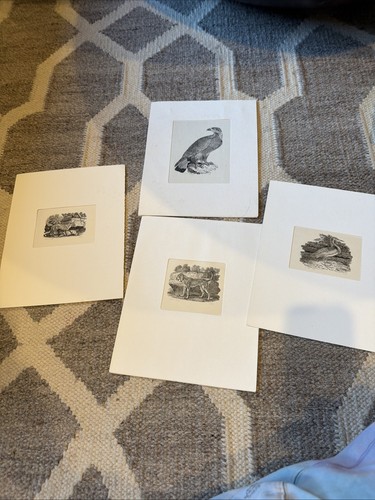 Thomas bewick prints - bewick,