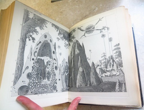 1886 bewick gleanings - 1886, the