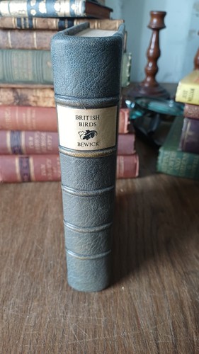 History british birds - of,