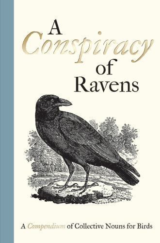 Conspiracy ravens by - ravens,