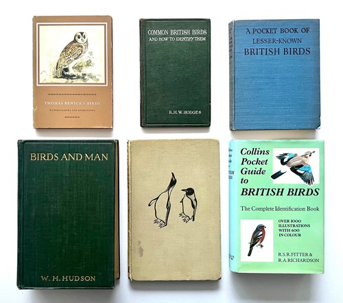 Vintage british bird books - vintage,